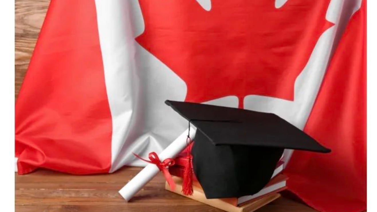 加拿大国际学生锐减至十年最低，新生骤减70%