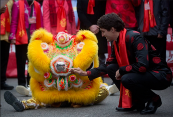 直击加拿大华人，今年怎么过春节买年货