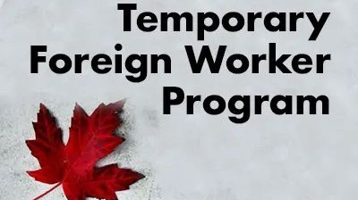 再刷纪录！加拿大留学热度不减反增