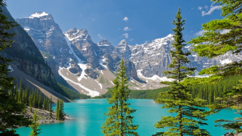 突发！阿省RRS2026大变革：名额被限