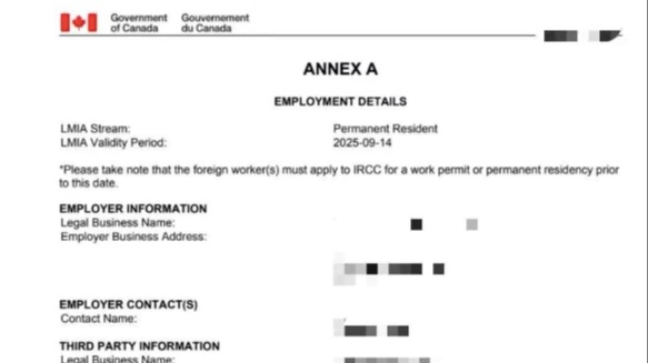 Web Programer LMIA获批！