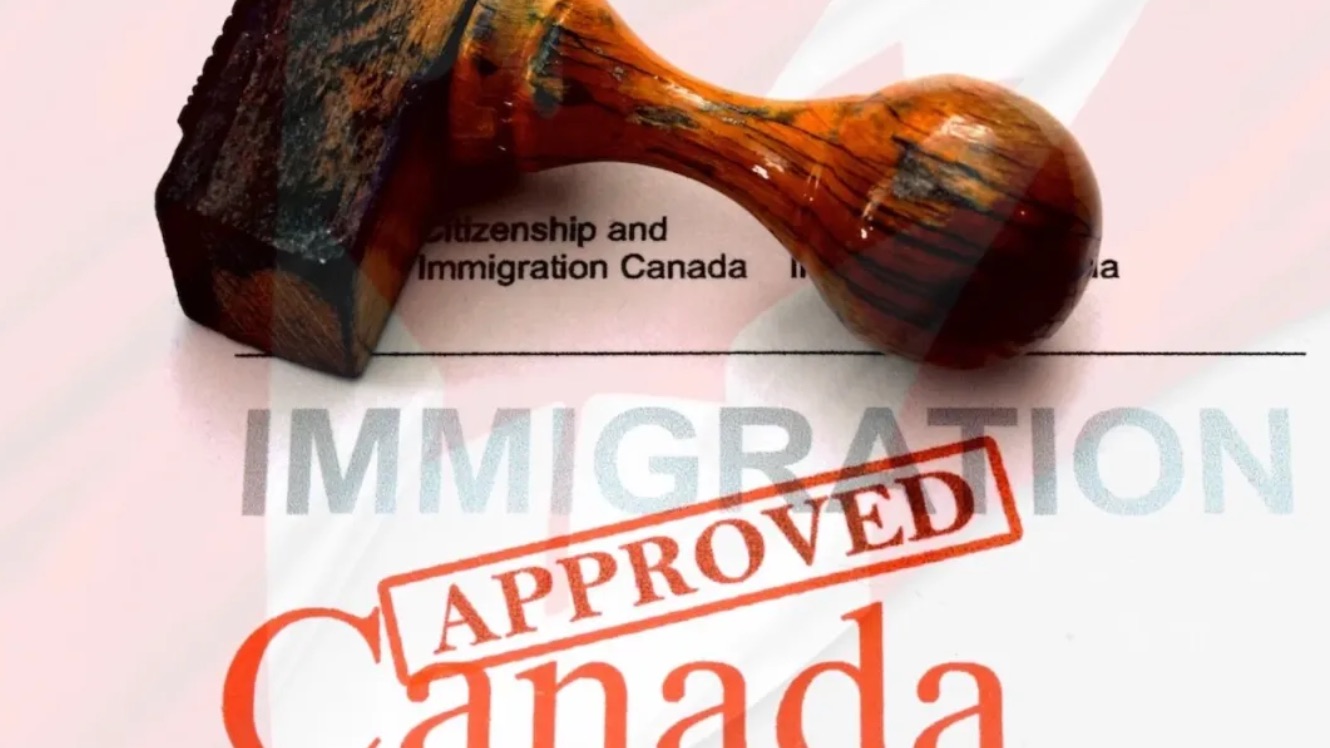 成绩亮眼！加拿大狂批83万签证！