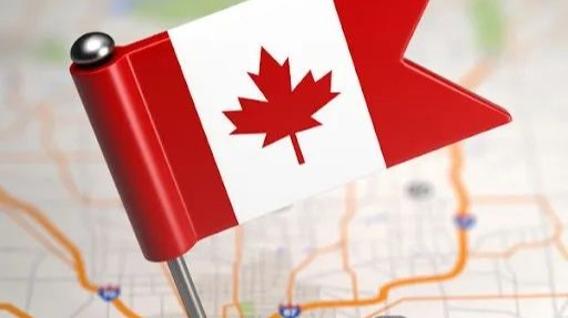 大批留学生无法按时入学, 该如何自救?