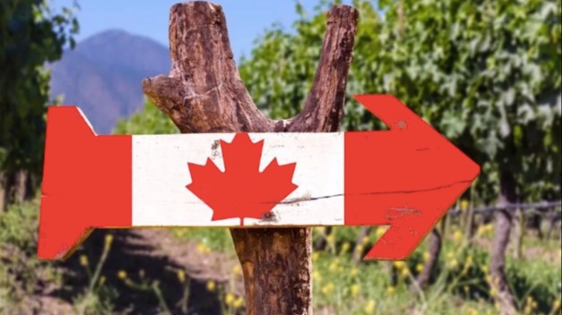 加拿大这几个小镇太好移！RNIP项目门槛缩紧！