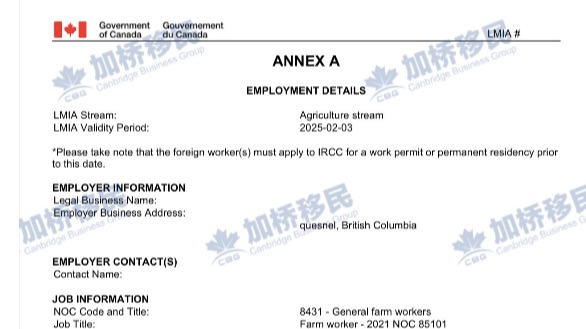 今年最后的一批农业LMIA批文！