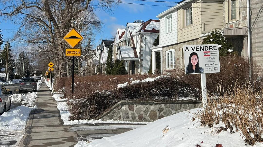 一夜变天！欧洲正在加速“右”转！