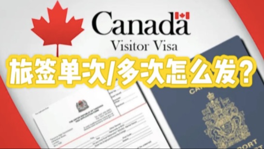 单次还是多次入境？解密加拿大的最新评估标准！