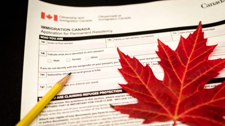 支持信质量决定加拿大SUV移民审批速度