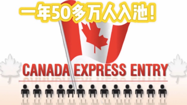 竞争太激烈！一年50万入池！
