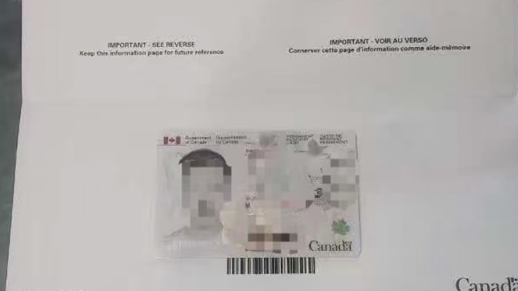 恭喜Y同学收到枫叶卡达成移民目标成攻上岸