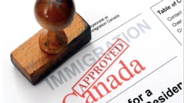 2025年各省学签配额出炉，这些省份最受影响！