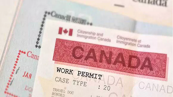 【审理进度】加拿大各类签证审理进度更新（2022.03.26）