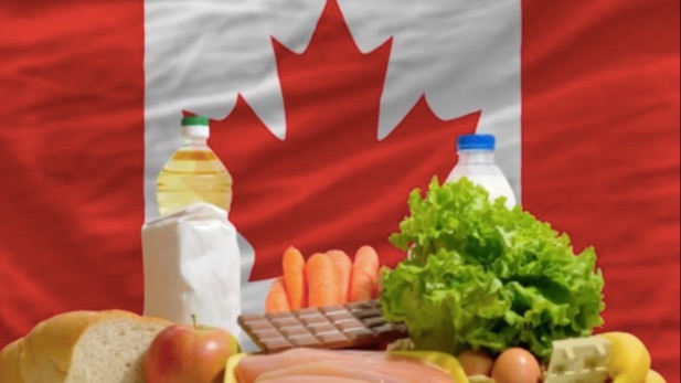 加拿大联邦农业项目1月1日新名额开放！雇主少！