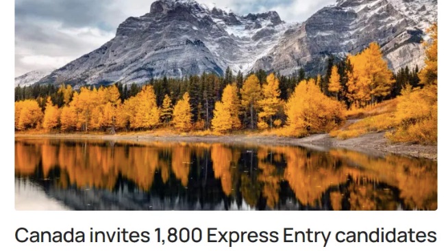 移民打分太高怎么办？试试EE Trade定向！