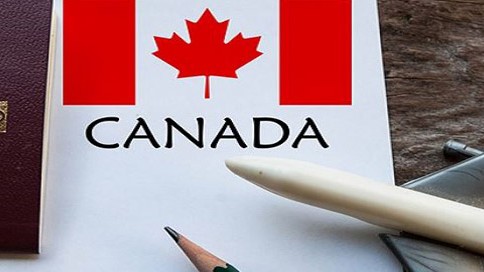 加拿大各类签证审理周期（2024年11月）