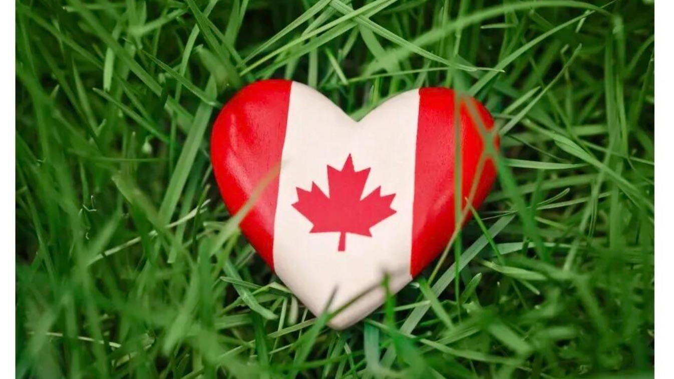 26年加拿大护理试点项目全指南：落地即PR！