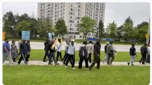 抗议！加拿大留学生至少要5年毕业工签才能拿卡！