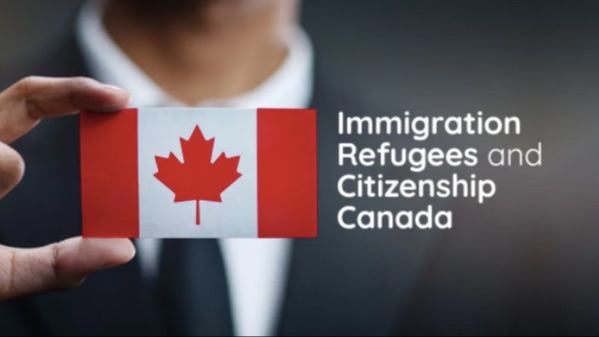 百万申请大堵塞！签证难批！如何解锁绿色通道？