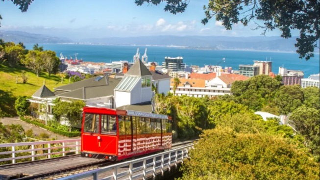 新西兰6分制与绿名单，政策调整对比与适应人群！