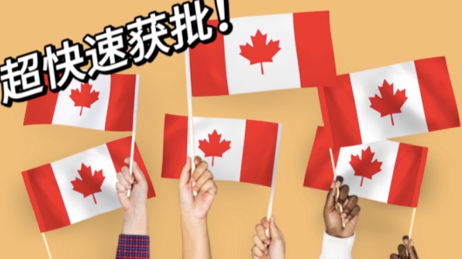 成功率100%！审批速度快一倍！