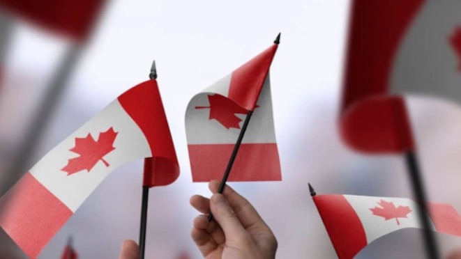 最新12月审理时长出炉：多项申请迎来利好！