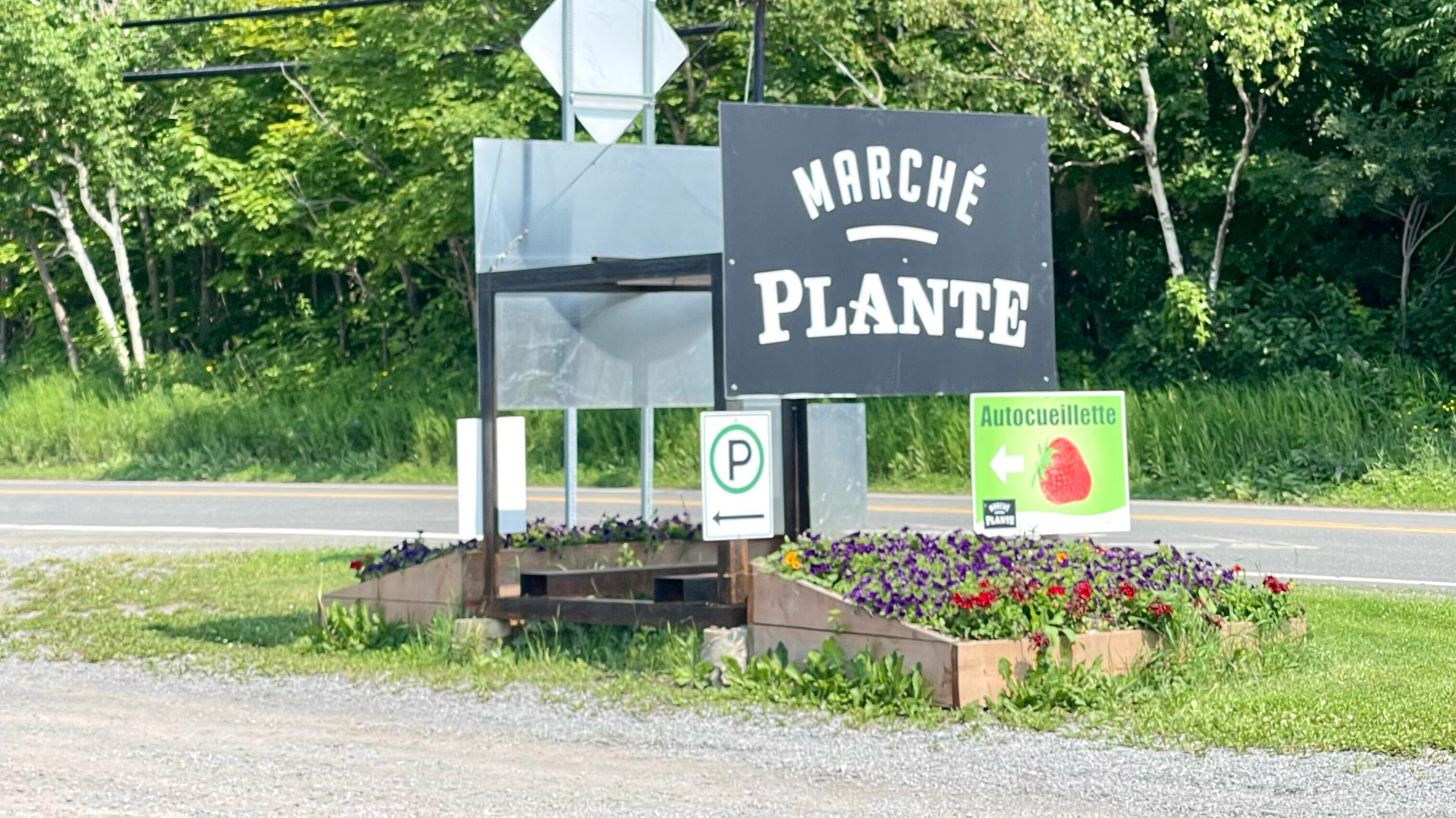 BCPNP配额还剩9000多！年底大变动？！