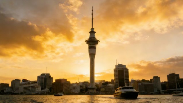 新西兰迎来政策风口：普通人无需内卷的两条移民通道