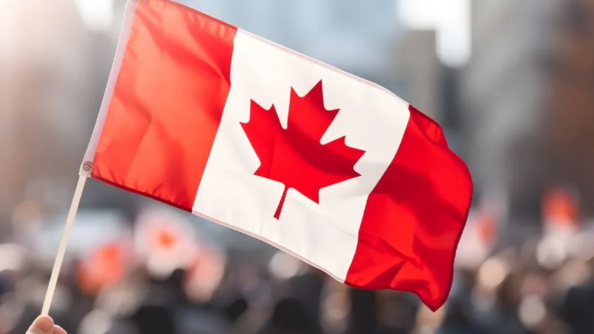 最新EE池内现状分析！高分竞争更激烈！