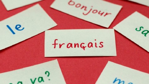 EE法语定向首抽仅439分,狂捞2300人