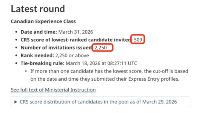3月CEC抽签出炉：2250人获邀，分数509！