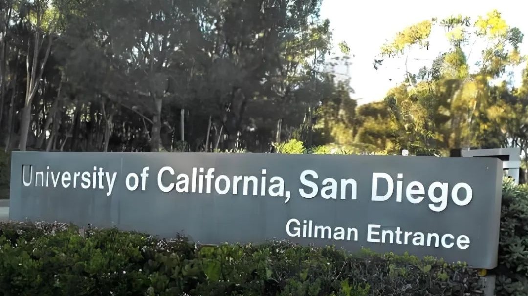 美国大学录取数据曝光：优势大到超乎想象